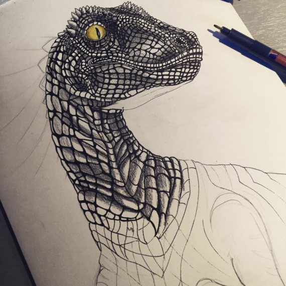 dessin, illustration au trait, gravure noir et blanc dinosaure raptor, velociraptor. création chloé genet, chloegenet.ch
