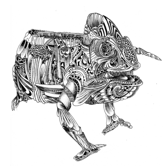 Illustration au stylo noir 0.3, gravure dessin caméléon. chloé genet